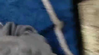 二零二三九月三号_蛋蛋萌妹宿舍啵啵