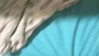 换身记港女的口活果然了得